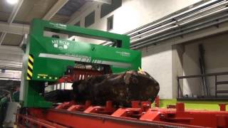 MEBORS BIGGEST BAND SAW FOR LARGE LOGS HTZ 1400 SP EXTREME 19 testing video [upl. by Eelanna670]