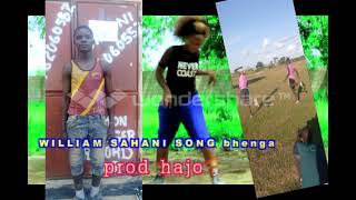 William Sahani Ft Gudegude song Bhenga bybuligemusic [upl. by Espy]