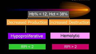 Anaemia [upl. by Asim]