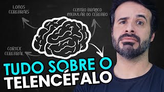 ESSE MÉTODO VAI TE AJUDAR A ENTENDER TUDO SOBRE O TELENCÉFALO [upl. by Lahsram48]