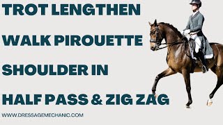 Dressage mechanics for the shoulder in trot half pass walk pirouette and canter zig zag [upl. by Ahsatsan]