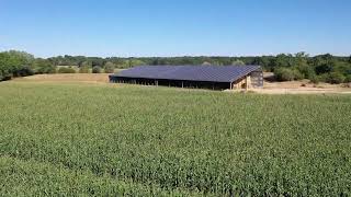 Bâtiment agricole financé par le photovoltaïque [upl. by Adaran363]