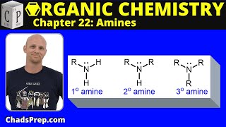 221 Classification of Amines [upl. by Anitsugua78]