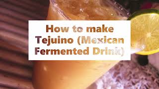 How to make Tejuino Mexican Fermented Drink [upl. by Javier883]