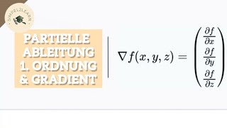 Partielle Ableitung 1 Ordnung amp Gradient berechnen  einfach erklärt [upl. by Esinahs311]