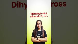 Monohybrid and Dihybrid Cross [upl. by Annaig]