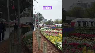 Floriade Tulip Festival Canberra Australia 🇦🇺 BuluVaiya flowers tulip floriade fyp [upl. by Nosylla]