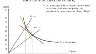 Introducción a la Economía  Clase 39  Isocostos y su pendiente Teoría producción 46 [upl. by Hadleigh]