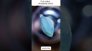 Cut and Polish Gemstone  facet focus [upl. by Enaywd]