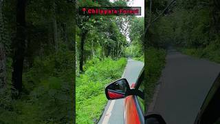 📍📍Chilapata Forest Dooars Alipurduar Northbengal youtubeshorts nature shortvideo trending [upl. by Anairotciv777]