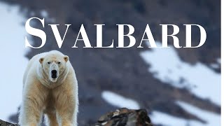 SVALBARD  NORWAY 🇸🇯 Cinematic Journey Through the quotArctic Jewel of Norwayquot 4K [upl. by Rehpotsirh]