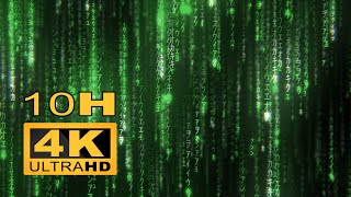 Matrix Screensaver Rain Code 10H 4K [upl. by Kaitlin993]