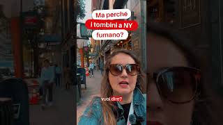 Ma perché a New York i tombini fumano 💨 [upl. by Yendor]