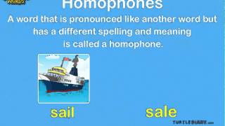 Homophones  Win This Game About Words that Sound the Same Grammar for Kids [upl. by Onavlis]