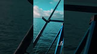 What a combination fishing fishingchannel fishingmethods [upl. by Harrad844]