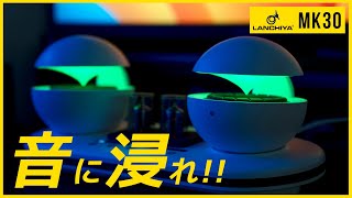 光と音に浸れる真空管スピーカー Lanchiya MK30 [upl. by Tadich]