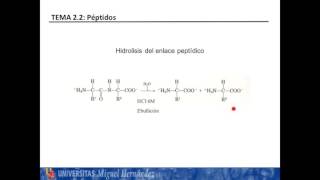 Lec221 Péptidos Enlace y nomenclatura umh1025 201516 [upl. by Imled]