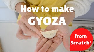 Lets make Gyoza dumplings withme from scratch EP176 [upl. by Mathian40]