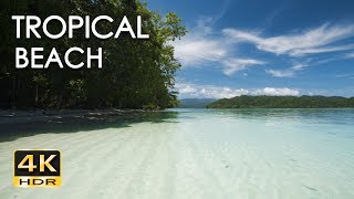 4K HDR Tropical Beach  Gentle Ocean Wave Sounds  Peaceful Wild Island  Relaxing Nature Video [upl. by Acirretal202]