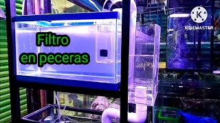 El mejor filtro para peceras hecho en México Como tener agua limpia Cómo limpiar peceras aquarium [upl. by Vona631]