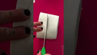 Split the Toilet Paper Prank 🧻 [upl. by Yobybab977]