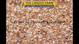 What is linseed flaxseed good for [upl. by Nelag]