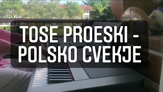 Tose Proeski  Polsko Cveke Piano Cover  Vladi Lukan [upl. by Siver895]