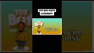 ToyBoyPatoLoverboy Lyrics Video [upl. by Adnoloy]