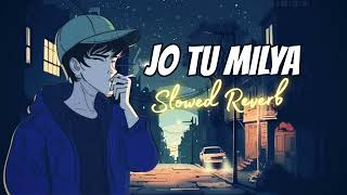 Tu Jo Mileya Lofi Mix x Slowed Reverb  Love Song [upl. by Shult]