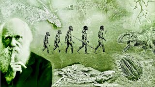 Evolution  What Darwin Never Knew  NOVA Full Documentary HD [upl. by Wulf]