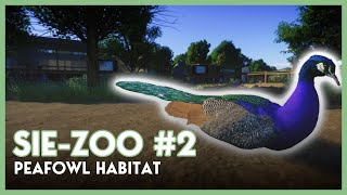 🌳Peafowl Habitat  SIEZOO 2  Planet zoo Speedbuild  No Commentary [upl. by Leah]