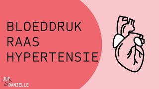 Bloeddruk RAAS en hypertensie [upl. by Clemmie]