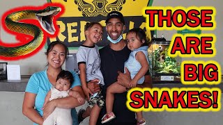 A VISIT TO REPTILIA ZOO  Family Vlog [upl. by Westfall586]