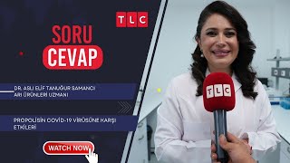 PROPOLİSİN COVİD19 VİRÜSÜNE KARŞI ETKİLERİ  DR ASLI ELİF TANUĞUR SAMANCI TLC SORU CEVAP 8 EKİM [upl. by Ayota]