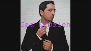 Gad Elmaleh  quotJsuis pas un bouffonquot  Lautre cest moi [upl. by Warram983]