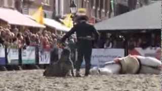 Spaanse paardenshow Los del Sol met Spaanse muziek en dans in Vianen [upl. by Shank]