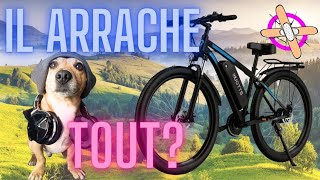 Le plus puissant des VTT pas cher cousin Duotts C29 new [upl. by Adneral]