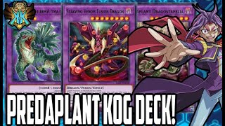 🤴REY DE DUELOS Y DE LAS FUSIONES🌀  NUEVO PREDAPLANT FUSION DECK  YuGiOh Duel Links [upl. by Laurita342]