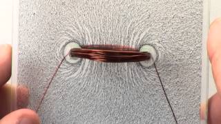 PH EM MF DEMO 70001A V1025 2D Magnetic Field Demonstrations Simple Wire Coils [upl. by Ahtaga]