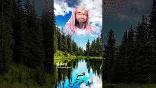 روائع نبيل العوضي  أستمع إلى أجمل القصص مع نبيل العوضي رمضان🤍🌙 2023 [upl. by Assirat346]