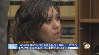 Woman convicted in fatal pit bull attack sentenced [upl. by Ennaid]