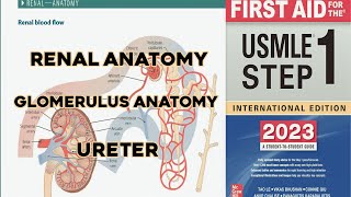 renal anatomy  glomerulus anatomy and ureters  USMLE lecture in Urdu and hindi [upl. by Eatnohs425]