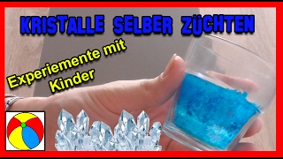 KRISTALLE SELBER ZÜCHTEN  Experimente mit Kindern  DIY einfach selber machen  HD [upl. by Tonneson]