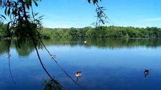 Wappinger Lake Panoramic [upl. by Shiroma75]