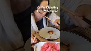 Fish Kibbeling Coffee and Watermelon shortvideo trendingvideo [upl. by Viens651]