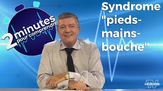 Syndrome quotpiedsmainsbouchequot  2 minutes pour comprendre [upl. by Mabelle]