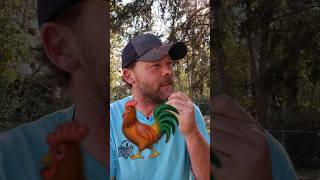 What did the chicken say to the old mean farmer dadjokesdaily [upl. by Ahron]