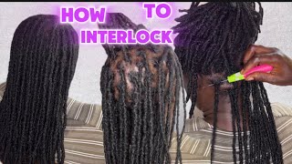 EASY AND SAFEST WAY TO INTERLOCK LOCS WITH A CROCHET NEEDLE LOC MAINTENANCE [upl. by Martinic]