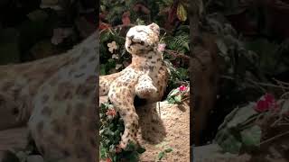 Random Leopard Animatronic at Rainforest Café in Walt Disney World Orlando FL [upl. by Malynda]