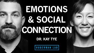 Dr Kay Tye The Biology of Social Interactions and Emotions [upl. by Suzie989]